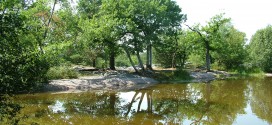 La Forêt de Fontainebleau et ses Gorges