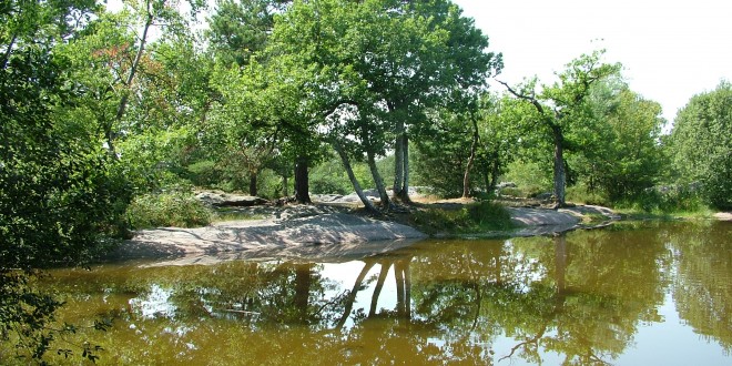 La Forêt de Fontainebleau et ses Gorges