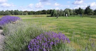 Golf de Torcy