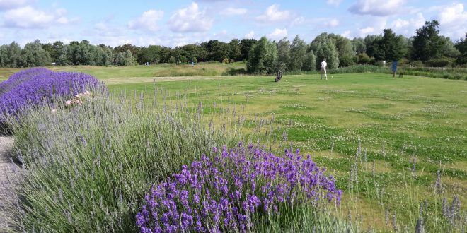 Golf de Torcy