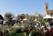 Journée des Plantes à Blandy-les-Tours