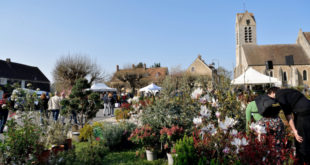 Journée des Plantes à Blandy-les-Tours