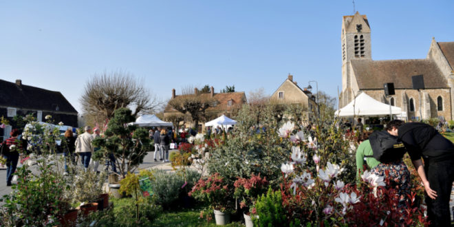 Journée des Plantes à Blandy-les-Tours